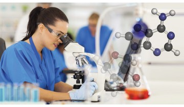 AMPK --- The Cellular Enzyme That Promotes Longevity And Reduces Fat Storage